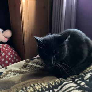 Meet your Posher, Molly